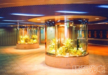 光纖照明，光導(dǎo)照明，地下街的植物裁培.jpg